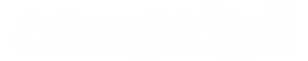 CAMP logo wht_(700 x 191).png